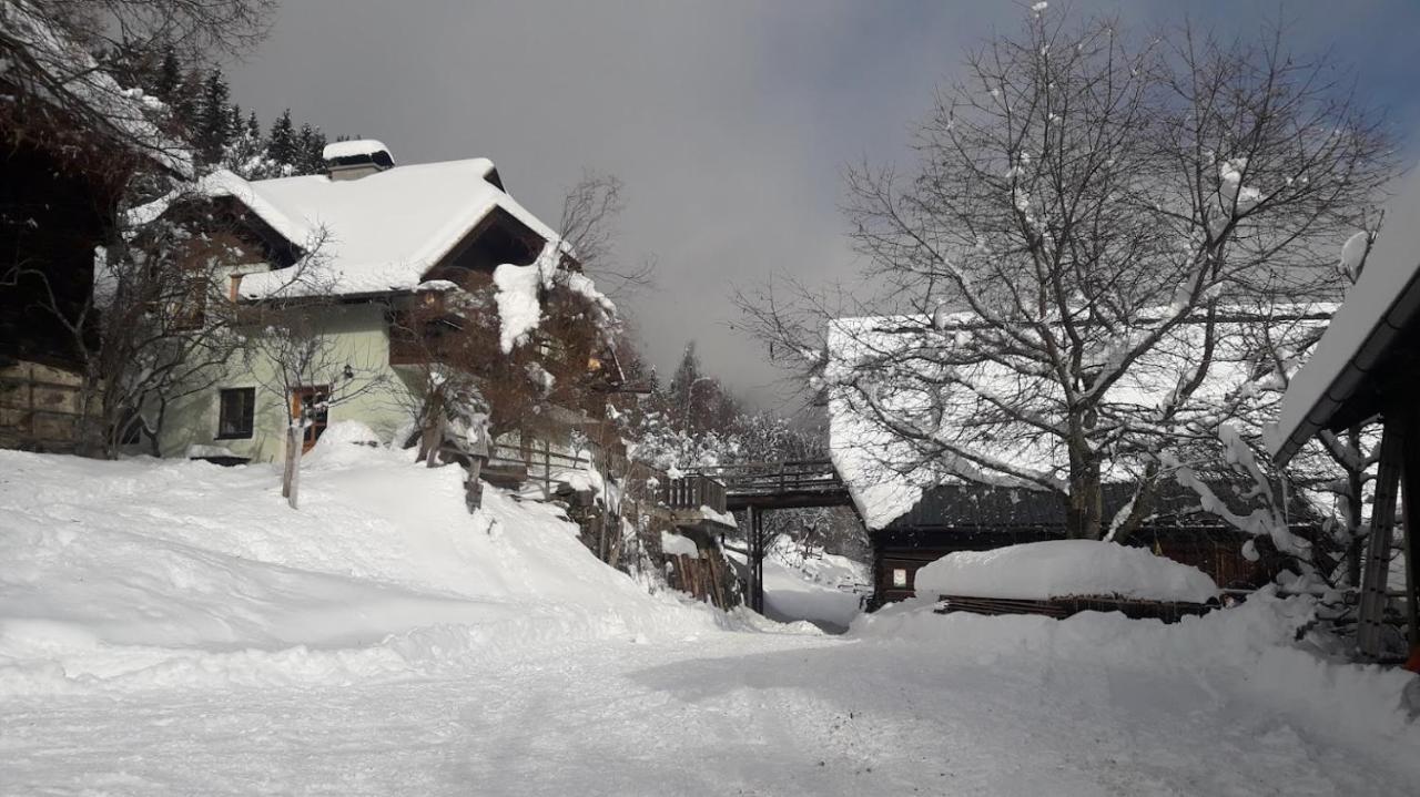 Apartments Berghof Familie Steinwender Pölling Eksteriør billede
