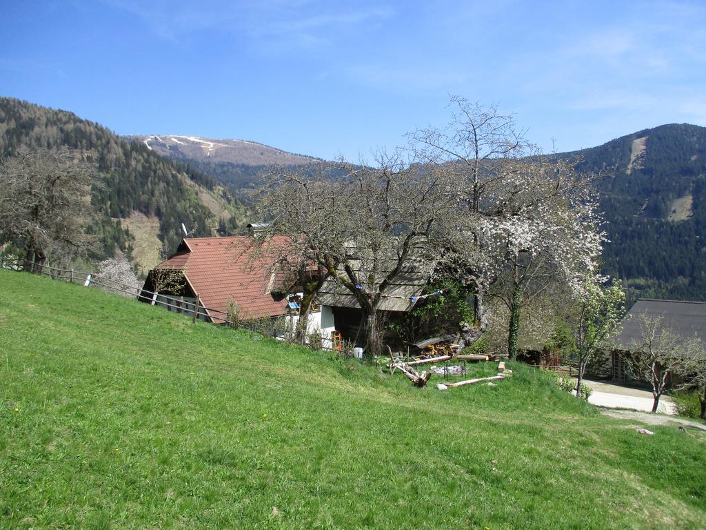 Apartments Berghof Familie Steinwender Pölling Eksteriør billede