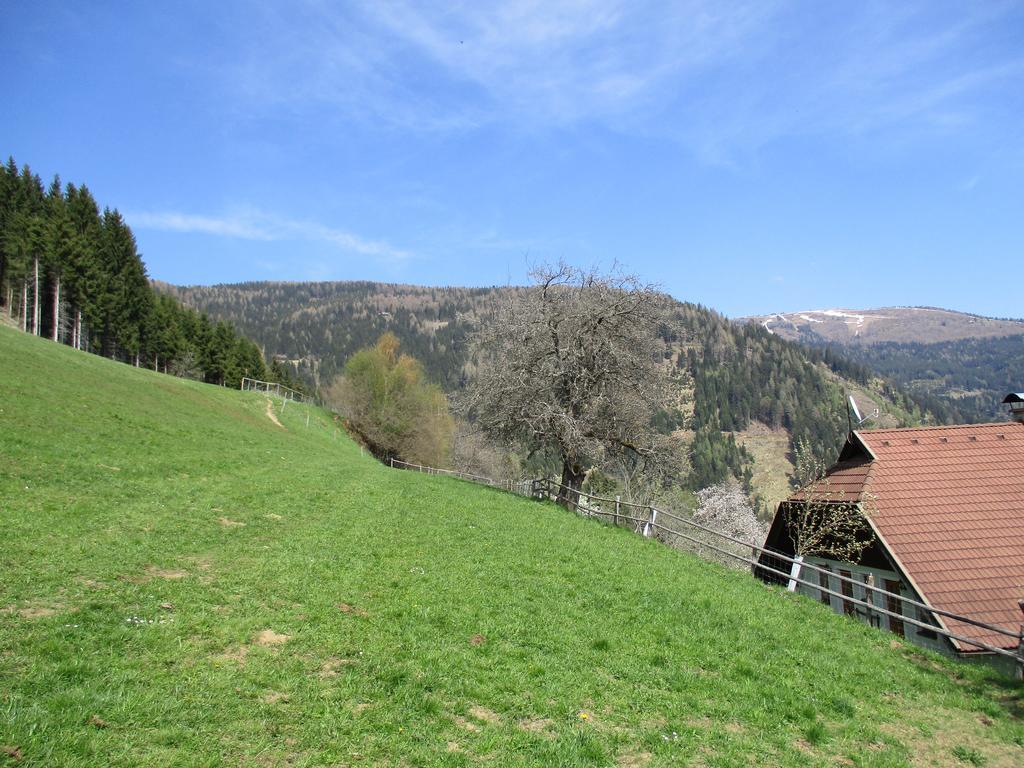 Apartments Berghof Familie Steinwender Pölling Eksteriør billede